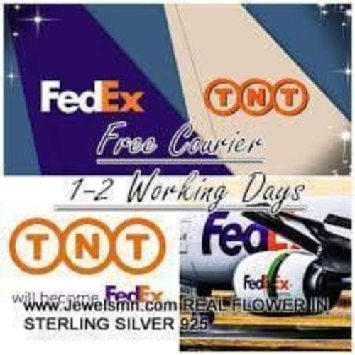 Dainty Sea Shell Earrings, Solid Gold (9K, 14K, or 18K Options) RETAIL